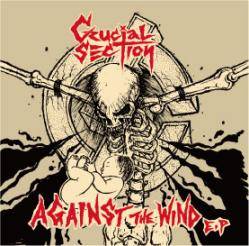 Crucial Section : Against the Wind